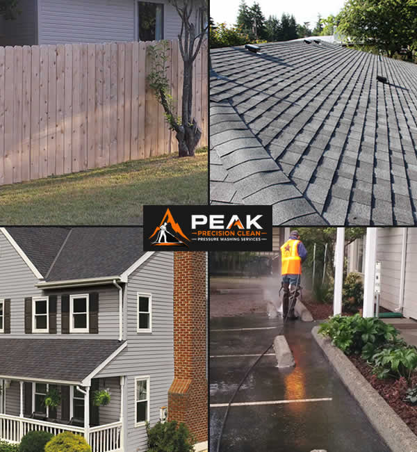 Pressure Washing Cleaning