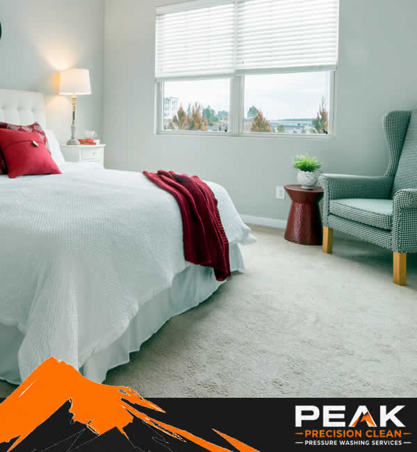 Professional Carpet Cleaning Services