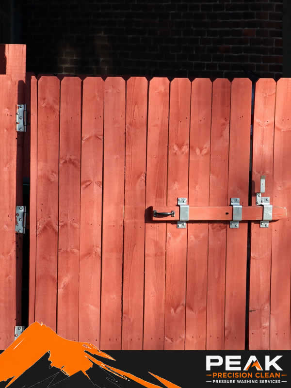 Deck & Fence Cleaning
